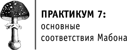 Круг Года. Викканские праздники, их атрибуты и значение Круг Года. Викканские праздники, их атрибуты и значение
