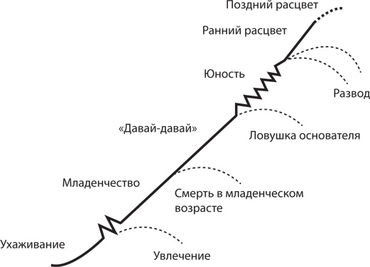 Управление жизненным циклом корпораций Управление жизненным циклом корпораций