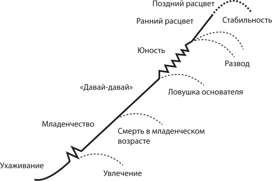 Управление жизненным циклом корпораций Управление жизненным циклом корпораций