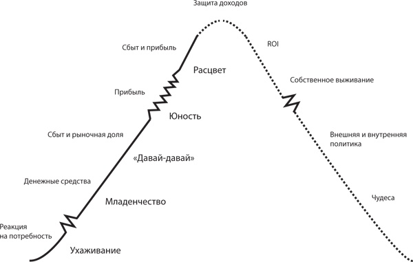 Управление жизненным циклом корпораций