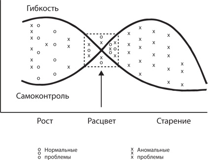 Управление жизненным циклом корпораций Управление жизненным циклом корпораций