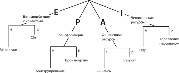 Управление жизненным циклом корпораций