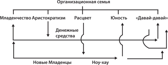 Управление жизненным циклом корпораций Управление жизненным циклом корпораций