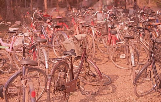 Живая цифра. Книга о цвете, или Как заставить дышать цифровую фотографию Живая цифра. Книга о цвете, или Как заставить дышать цифровую фотографию