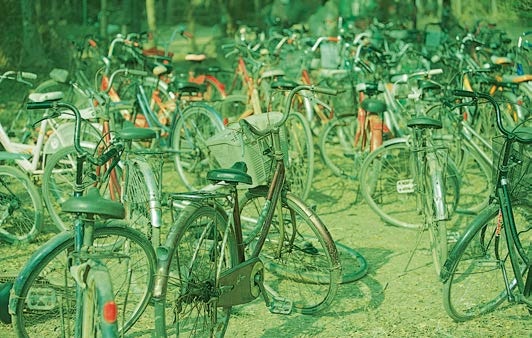 Живая цифра. Книга о цвете, или Как заставить дышать цифровую фотографию Живая цифра. Книга о цвете, или Как заставить дышать цифровую фотографию