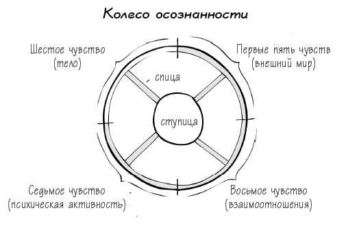 Вне зоны доступа. Как не потерять контакт с ребенком в переходном возрасте Вне зоны доступа. Как не потерять контакт с ребенком в переходном возрасте