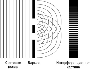 Почему мы существуем? Величайшая из когда-либо рассказанных историй
