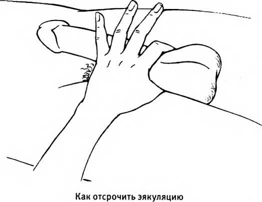 Любовь и секс. Как мы ими занимаемся. Прямой репортаж из научных лабораторий, изучающих человеческую сексуальность Любовь и секс. Как мы ими занимаемся. Прямой репортаж из научных лабораторий, изучающих человеческую сексуальность