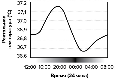 Зачем мы спим. Новая наука о сне и сновидениях Зачем мы спим. Новая наука о сне и сновидениях