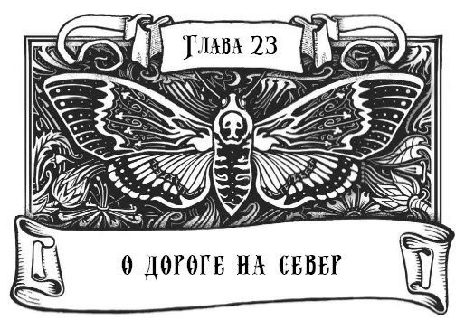 Миднайт. 1. Наместник ночи Миднайт. 1. Наместник ночи