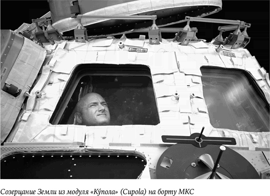Стойкость. Мой год в космосе Стойкость. Мой год в космосе