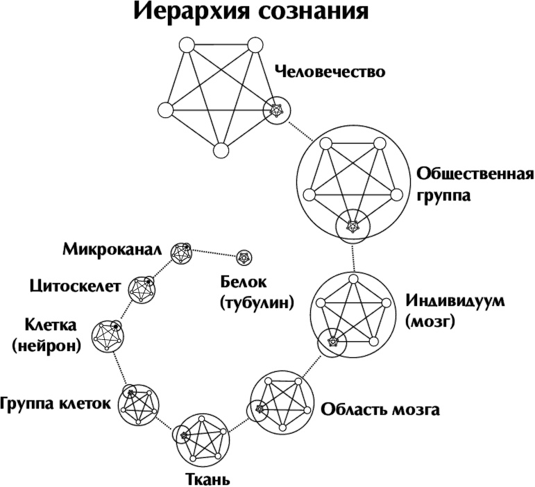Кроличья нора, или Что мы знаем о себе и Вселенной Кроличья нора, или Что мы знаем о себе и Вселенной