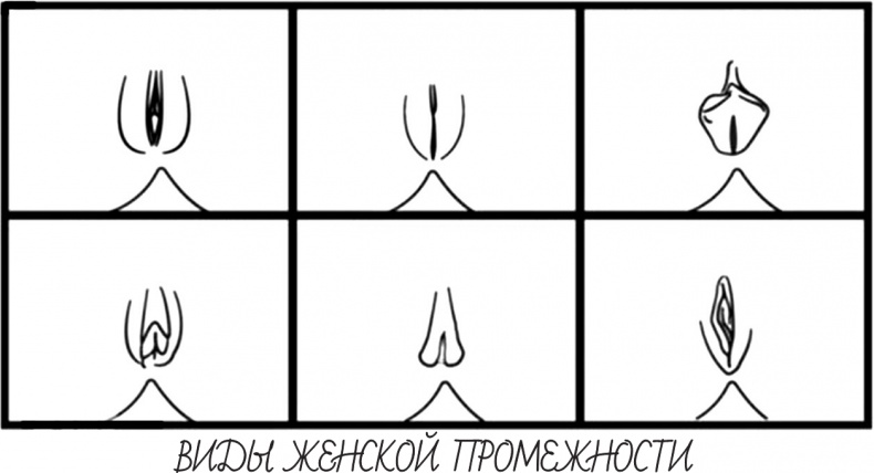 Project Woman. Тонкости настройки женского организма. Узнай, как работает твое тело Project Woman. Тонкости настройки женского организма. Узнай, как работает твое тело