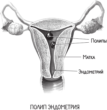 Project Woman. Тонкости настройки женского организма. Узнай, как работает твое тело Project Woman. Тонкости настройки женского организма. Узнай, как работает твое тело