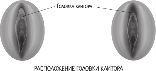 Project Woman. Тонкости настройки женского организма. Узнай, как работает твое тело Project Woman. Тонкости настройки женского организма. Узнай, как работает твое тело