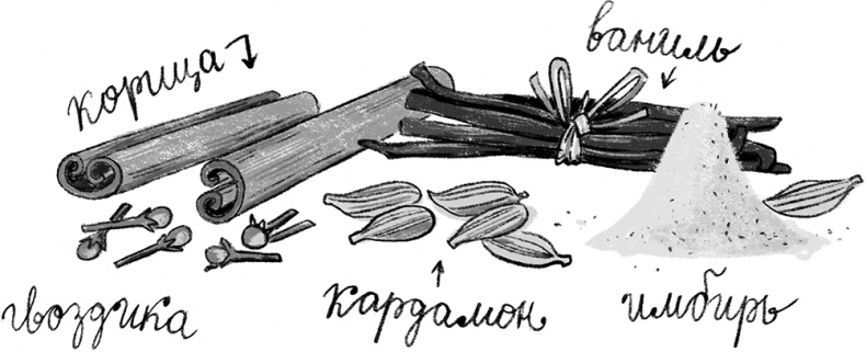 Синьорина Корица Синьорина Корица