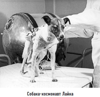 Гости из космоса. Факты. Доказательства. Расследования Гости из космоса. Факты. Доказательства. Расследования