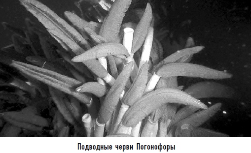 Гости из космоса. Факты. Доказательства. Расследования Гости из космоса. Факты. Доказательства. Расследования