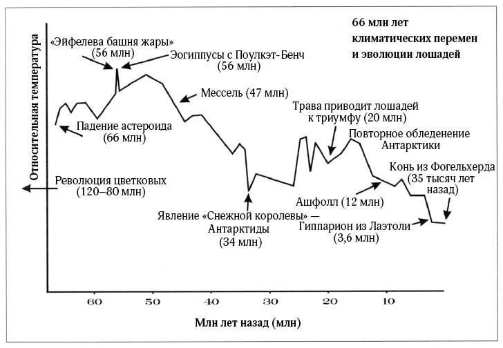 Лошадь. Биография нашего благородного спутника Лошадь. Биография нашего благородного спутника