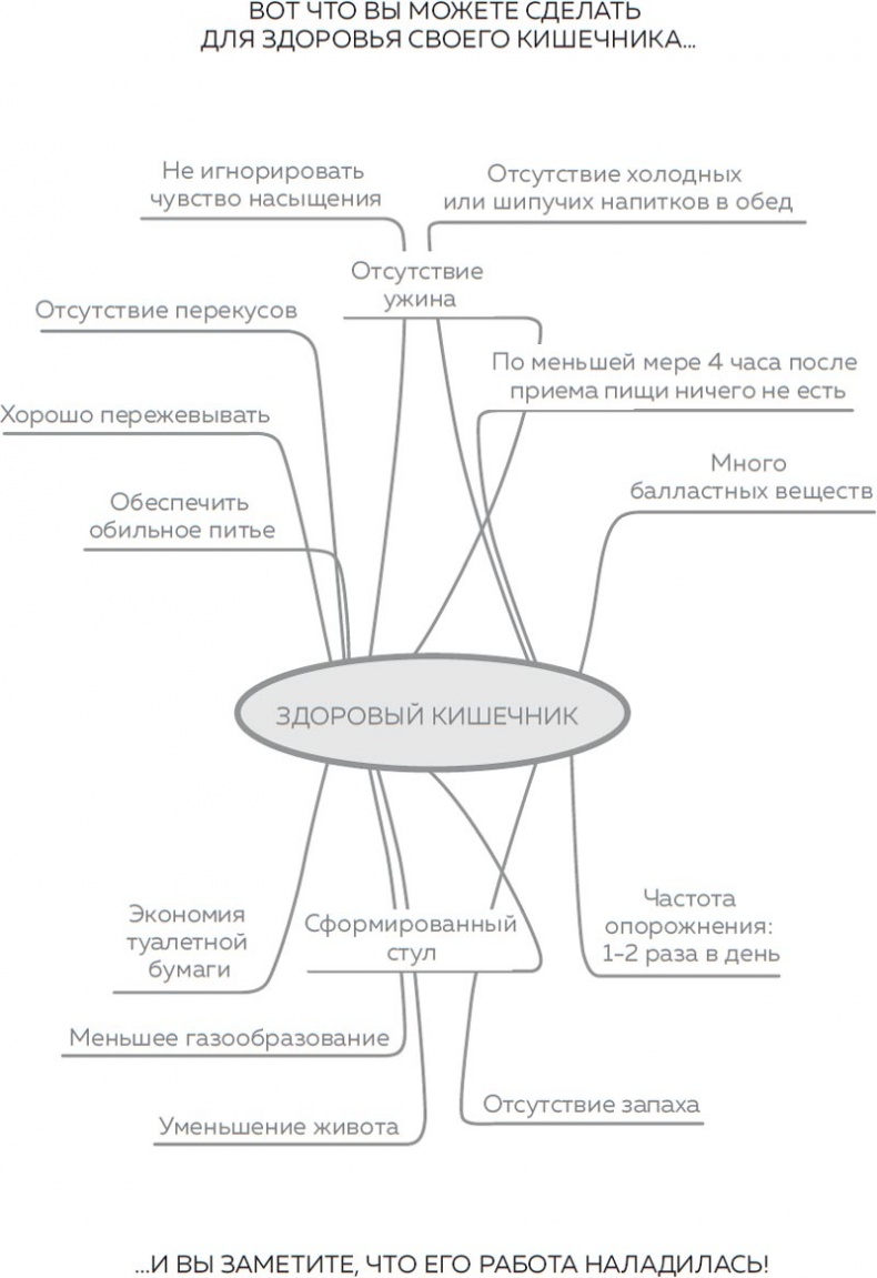 Кишечник. Как у тебя дела? Кишечник. Как у тебя дела?