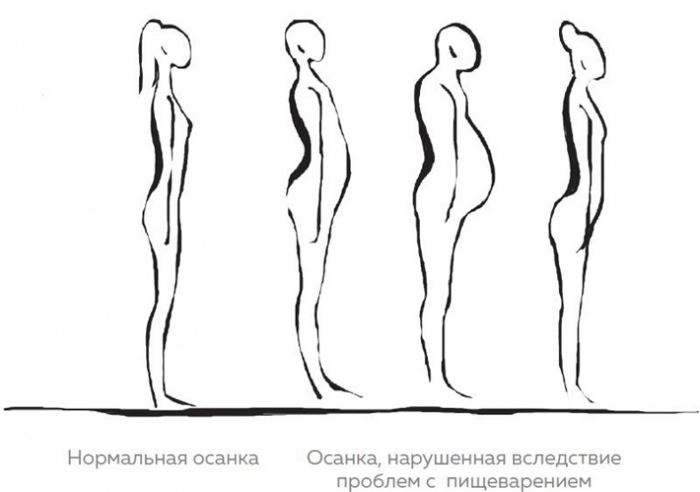 Кишечник. Как у тебя дела? Кишечник. Как у тебя дела?