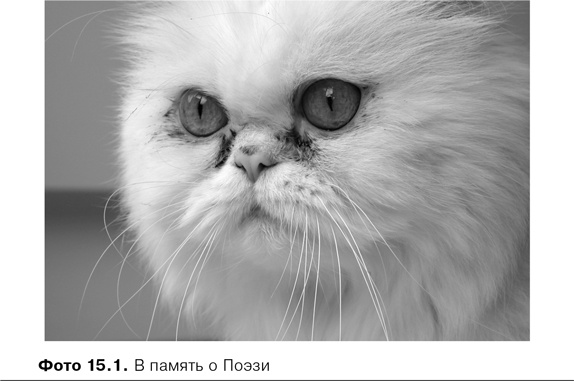 Agile-менеджмент. Лидерство и управление командами Agile-менеджмент. Лидерство и управление командами