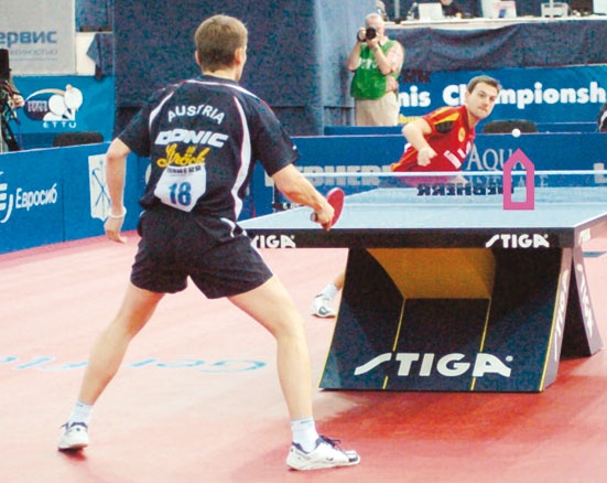 Настольный теннис. Руководство от чемпиона мира
