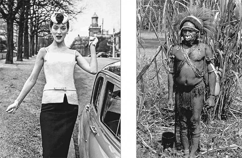 ДНК. История генетической революции ДНК. История генетической революции