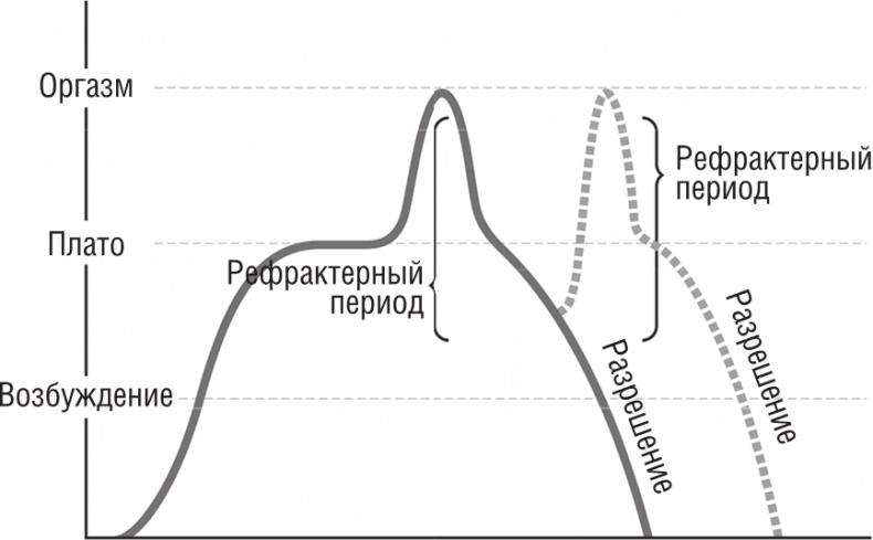 ОН. Интимный разговор про тот самый орган ОН. Интимный разговор про тот самый орган
