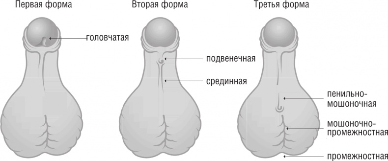 ОН. Интимный разговор про тот самый орган ОН. Интимный разговор про тот самый орган
