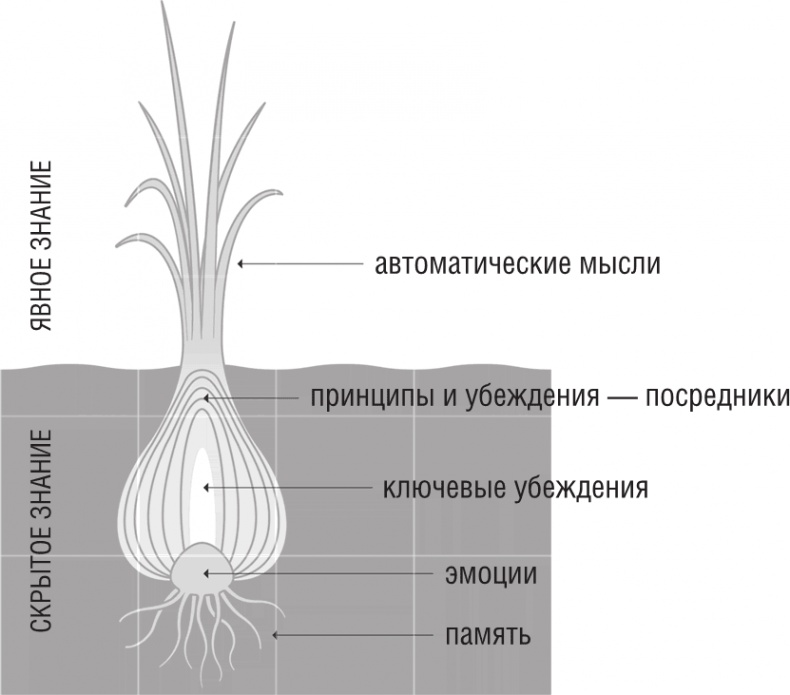 ОН. Интимный разговор про тот самый орган ОН. Интимный разговор про тот самый орган
