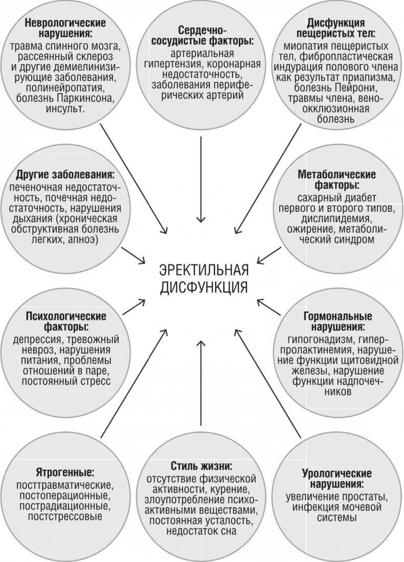 ОН. Интимный разговор про тот самый орган ОН. Интимный разговор про тот самый орган