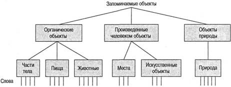 Когнитивная психология Когнитивная психология