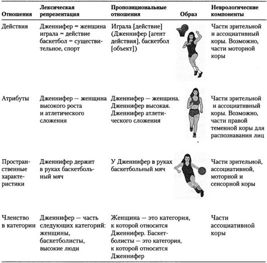 Когнитивная психология Когнитивная психология