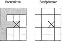 Когнитивная психология Когнитивная психология