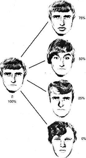 Когнитивная психология Когнитивная психология