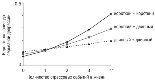 Инкогнито. Тайная жизнь мозга Инкогнито. Тайная жизнь мозга