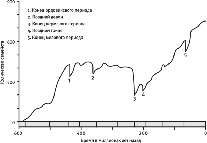 Шестое вымирание Шестое вымирание