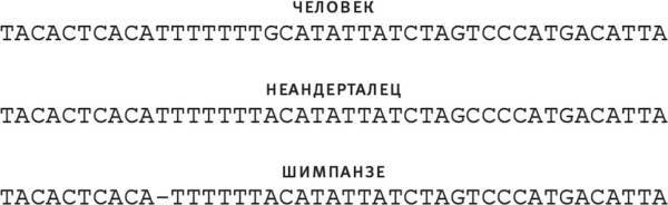 Шестое вымирание Шестое вымирание
