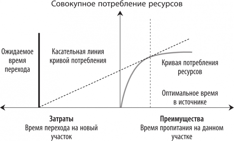 Рассеянный ум. Как нашему древнему мозгу выжить в мире новейших цифровых технологий Рассеянный ум. Как нашему древнему мозгу выжить в мире новейших цифровых технологий