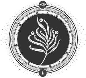Сетерра. Книга 1. Шепот пепла Сетерра. Книга 1. Шепот пепла