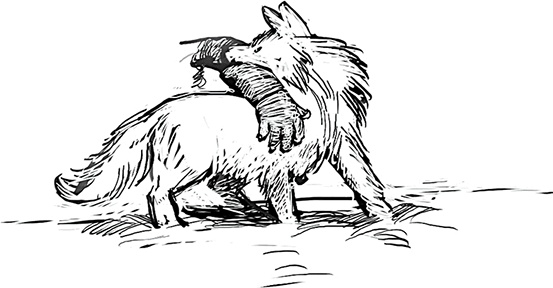 Холод. Неотвратимая гибель. Ледяная бесконечность. Студёное дыхание Холод. Неотвратимая гибель. Ледяная бесконечность. Студёное дыхание