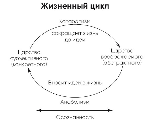 Детокс души и тела. Как избавиться от эмоционального мусора и устранить причины болезней Детокс души и тела. Как избавиться от эмоционального мусора и устранить причины болезней