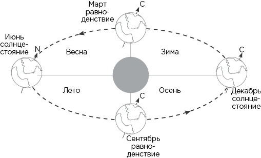 Вселенная на ладони