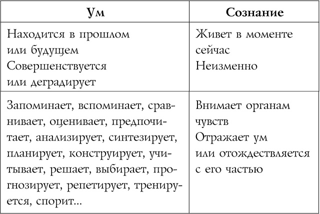 Источник красивых решений. Как жить, чтобы было хорошо сейчас, потом и всегда