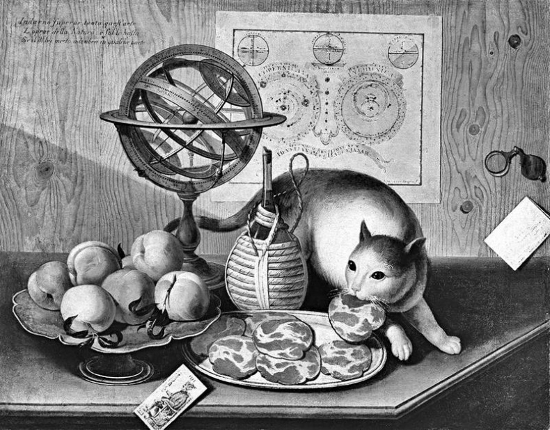 Таинственный мир кошек. Мифология, история и наука о сверхъестественных способностях самого независимого домашнего питомца Таинственный мир кошек. Мифология, история и наука о сверхъестественных способностях самого независимого домашнего питомца