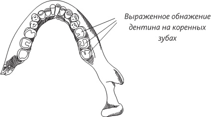 Невероятная случайность бытия. Эволюция и рождение человека Невероятная случайность бытия. Эволюция и рождение человека