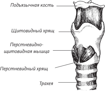 Невероятная случайность бытия. Эволюция и рождение человека Невероятная случайность бытия. Эволюция и рождение человека