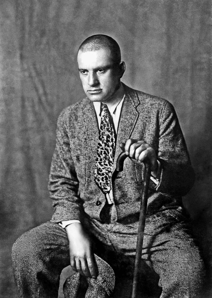 Владимир Маяковский. Роковой выстрел. Документы, свидетельства, исследования Владимир Маяковский. Роковой выстрел. Документы, свидетельства, исследования