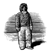 Лед Лед
